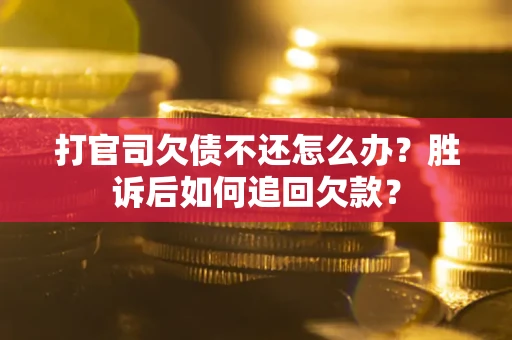 北京打官司欠债不还怎么办？胜诉后如何追回欠款？