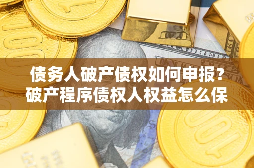 北京债务人破产债权如何申报？破产程序债权人权益怎么保障？