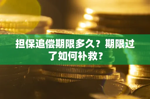 北京担保追偿期限多久？期限过了如何补救？
