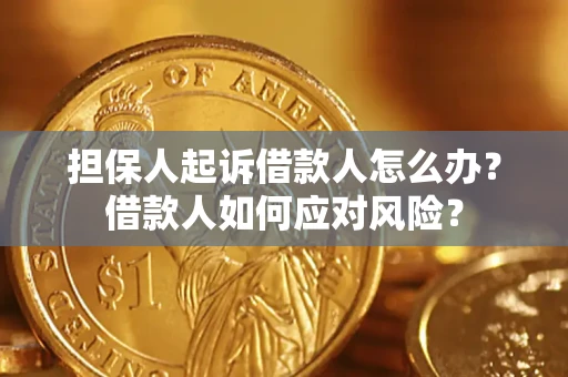 北京担保人起诉借款人怎么办？借款人如何应对风险？