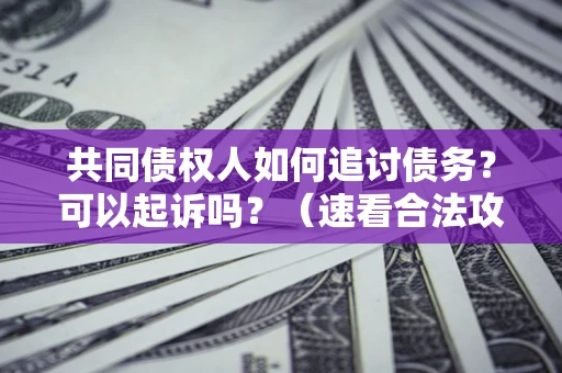 北京共同债权人如何追讨债务？可以起诉吗？（速看合法攻略）